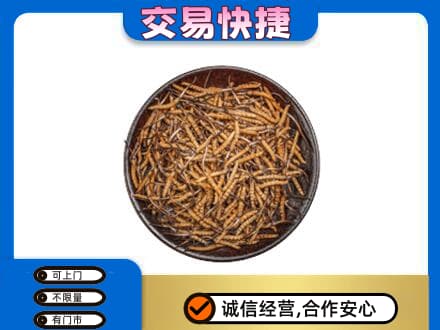 桂阳县高价回收散虫草